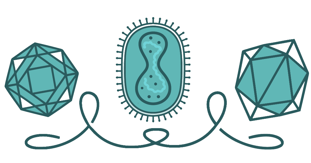 2027 XXVI International Poxvirus, Asfarvirus, and Iridovirus Conference